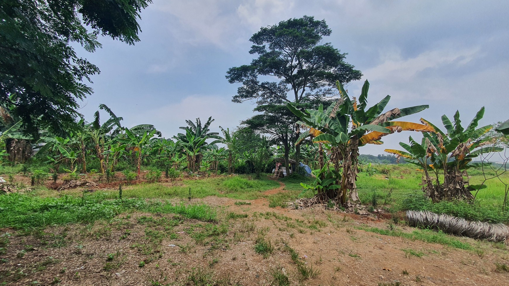 TURUN HARGA. Lahan seluas 11 hektar di kawasan Narogong - Limus Nunggal, Ciketing Udik, Pasir Angin