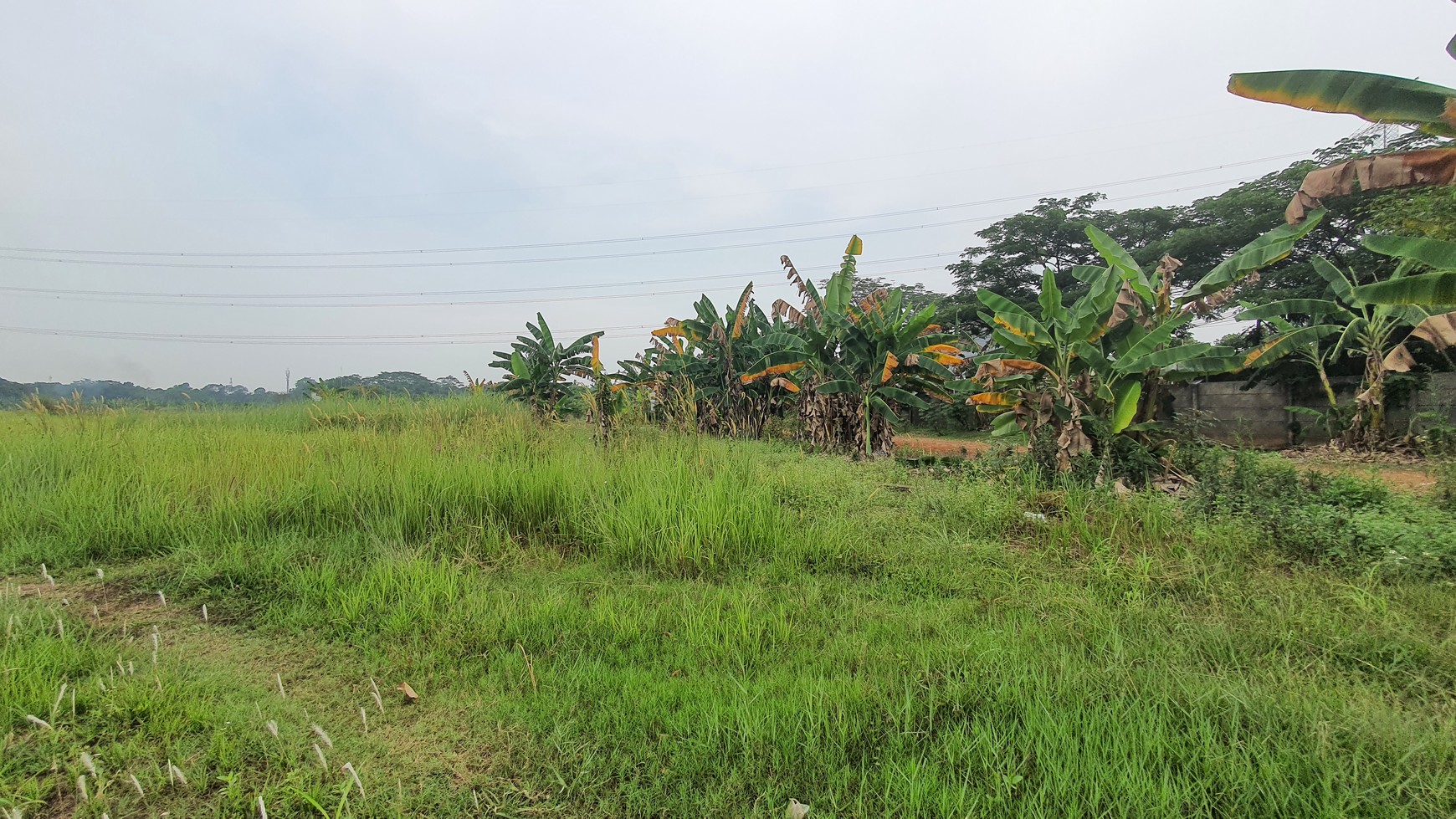 TURUN HARGA. Lahan seluas 11 hektar di kawasan Narogong - Limus Nunggal, Ciketing Udik, Pasir Angin