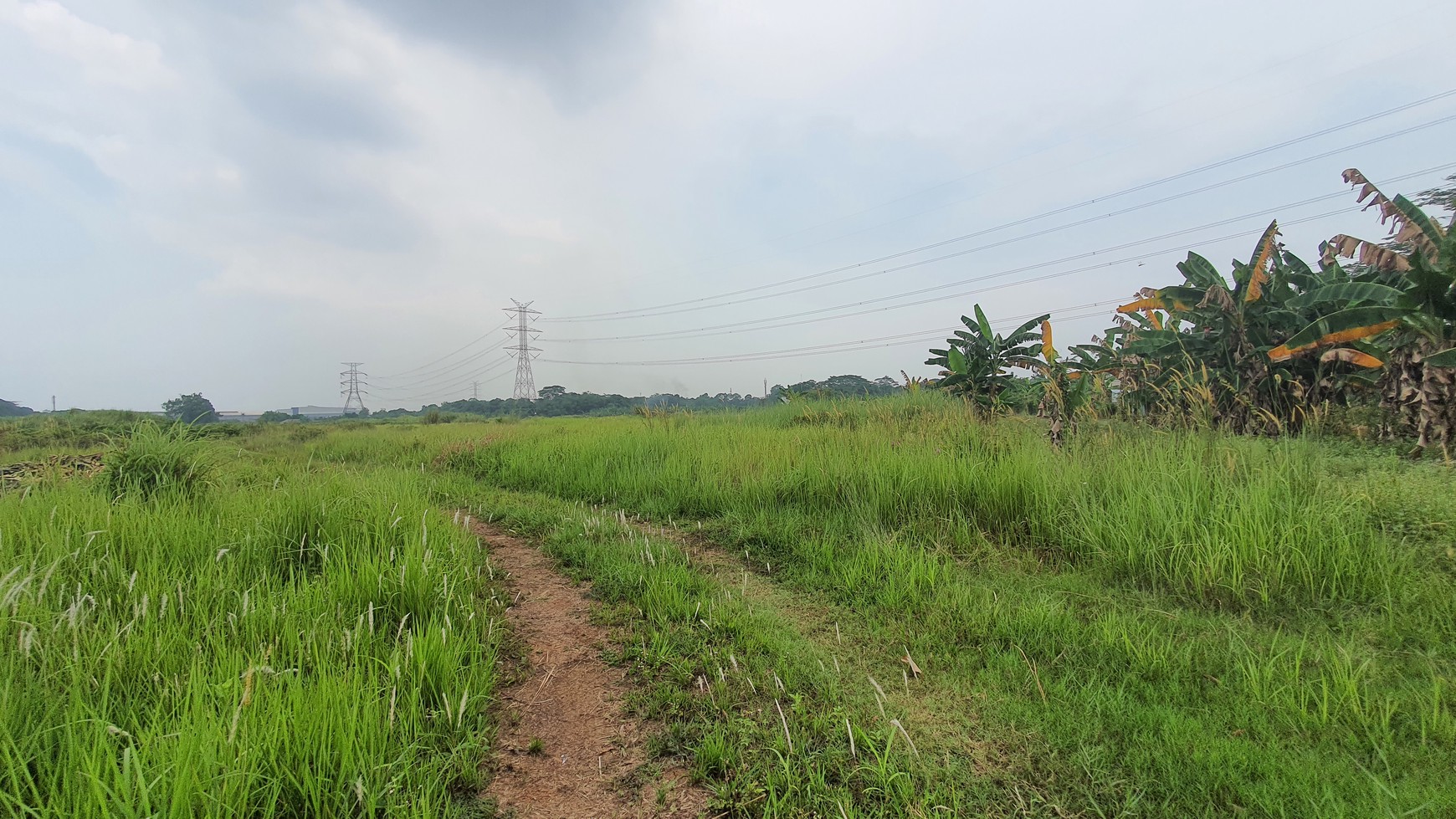 TURUN HARGA. Lahan seluas 11 hektar di kawasan Narogong - Limus Nunggal, Ciketing Udik, Pasir Angin