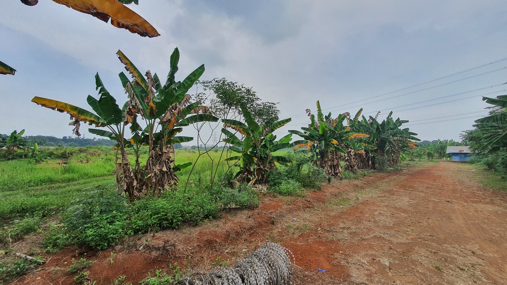 TURUN HARGA. Lahan seluas 11 hektar di kawasan Narogong - Limus Nunggal, Ciketing Udik, Pasir Angin