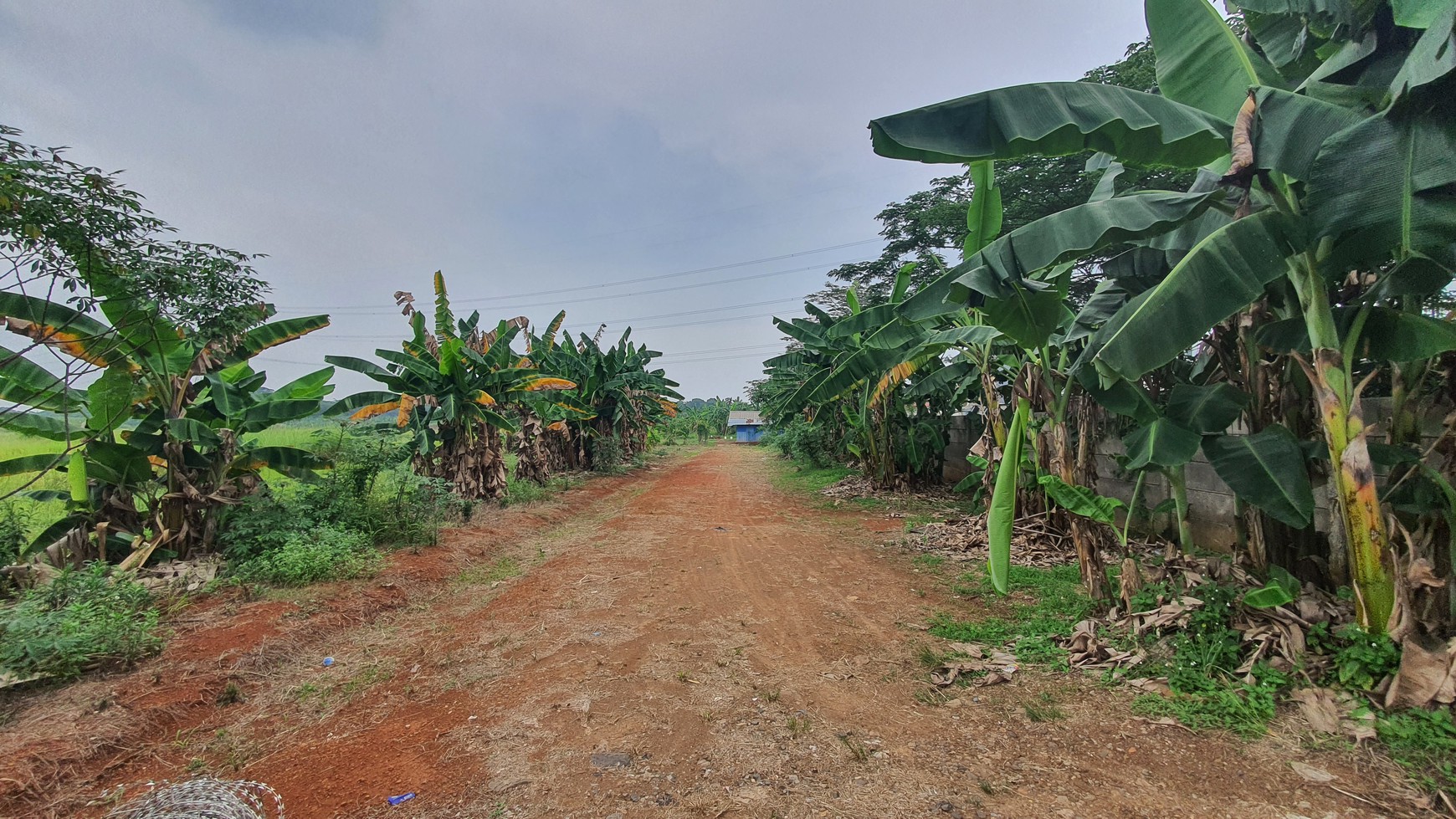 TURUN HARGA. Lahan seluas 11 hektar di kawasan Narogong - Limus Nunggal, Ciketing Udik, Pasir Angin