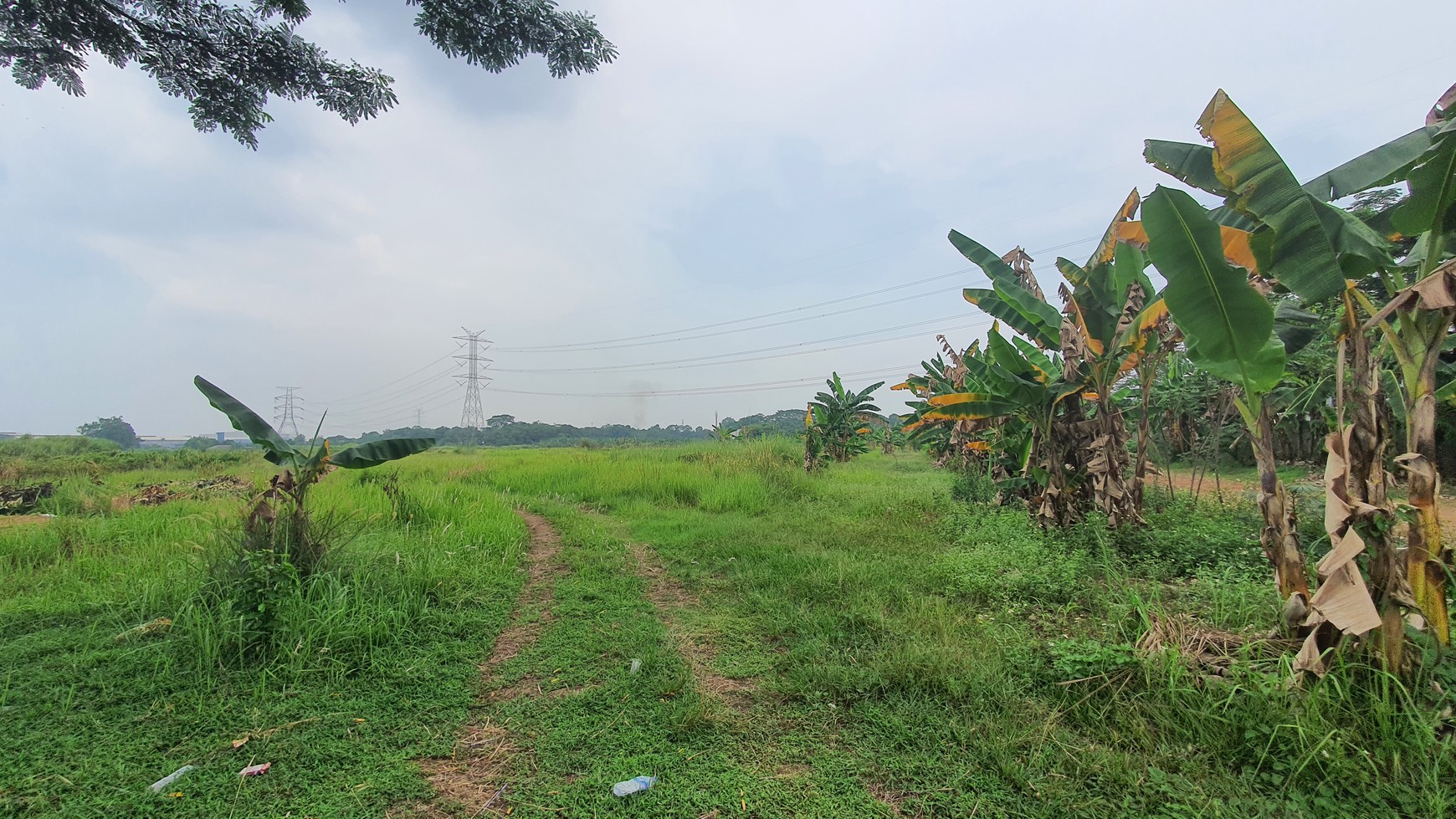 TURUN HARGA. Lahan seluas 11 hektar di kawasan Narogong - Limus Nunggal, Ciketing Udik, Pasir Angin