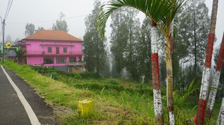 Lahan 2000 Meter di Ds Tosari Pasuruan Jatim 