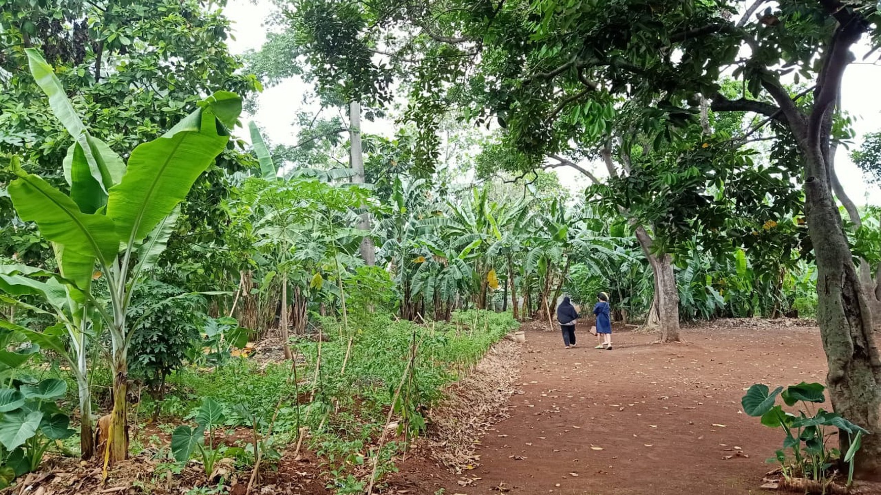 Cocok untuk Real Estate di atas Tanah SHM 4.4545 meter di area Cikunir, Bekasi Selatan 