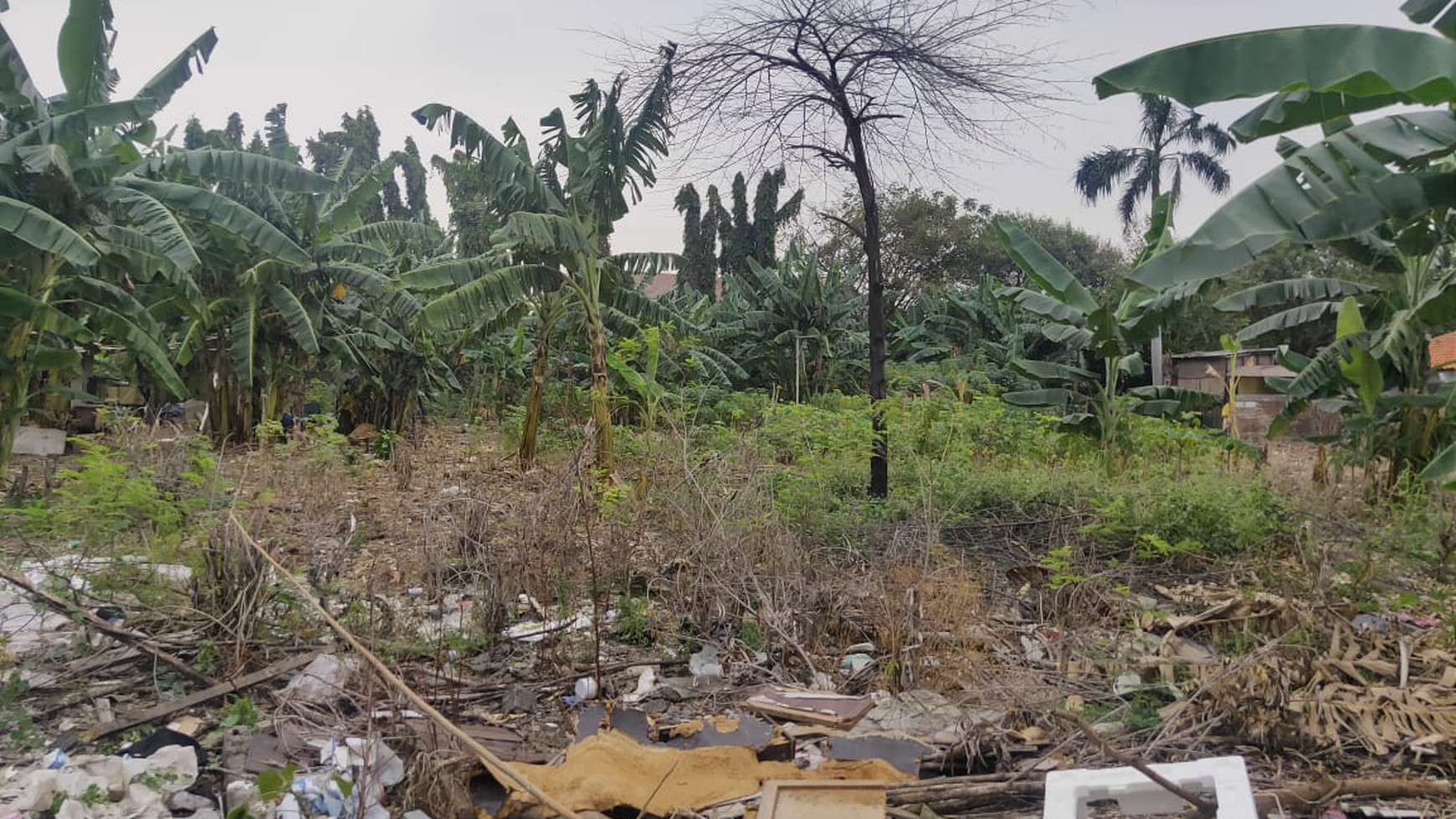 Tanah kavling cocok bangun Cluster di Rawamangun Jakarta Timur