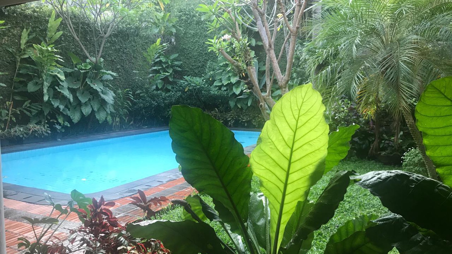 Rumah Swimming Pool di Metro Pondok Indah, Luas 983m2