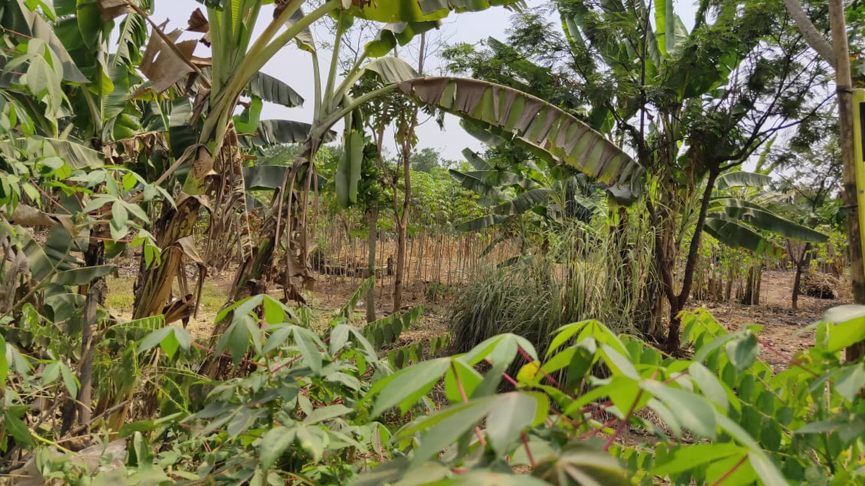 Kavling Industri cocok bangun Pabrik dan Gudang di Cikiwul  Narogong Bekasi