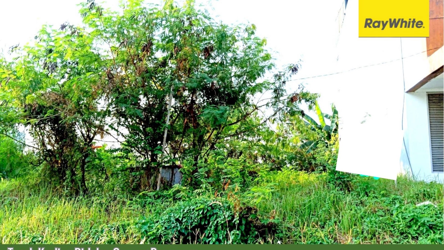 Tanah Kavling Di Gunung Pangrango Taman Simpruk [Lippo-Cikarang]