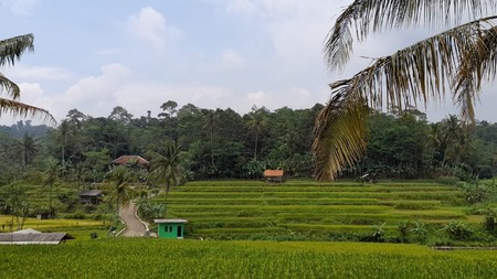 Dijual Kavling Di Pinggir Jl Kampung Babakan Kidra, Purwakarta, Jawa Barat