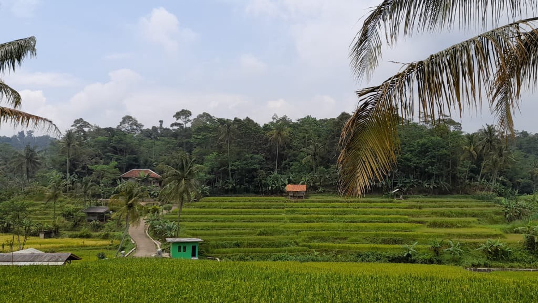 Dijual Kavling Di Pinggir Jl Kampung Babakan Kidra, Purwakarta, Jawa Barat