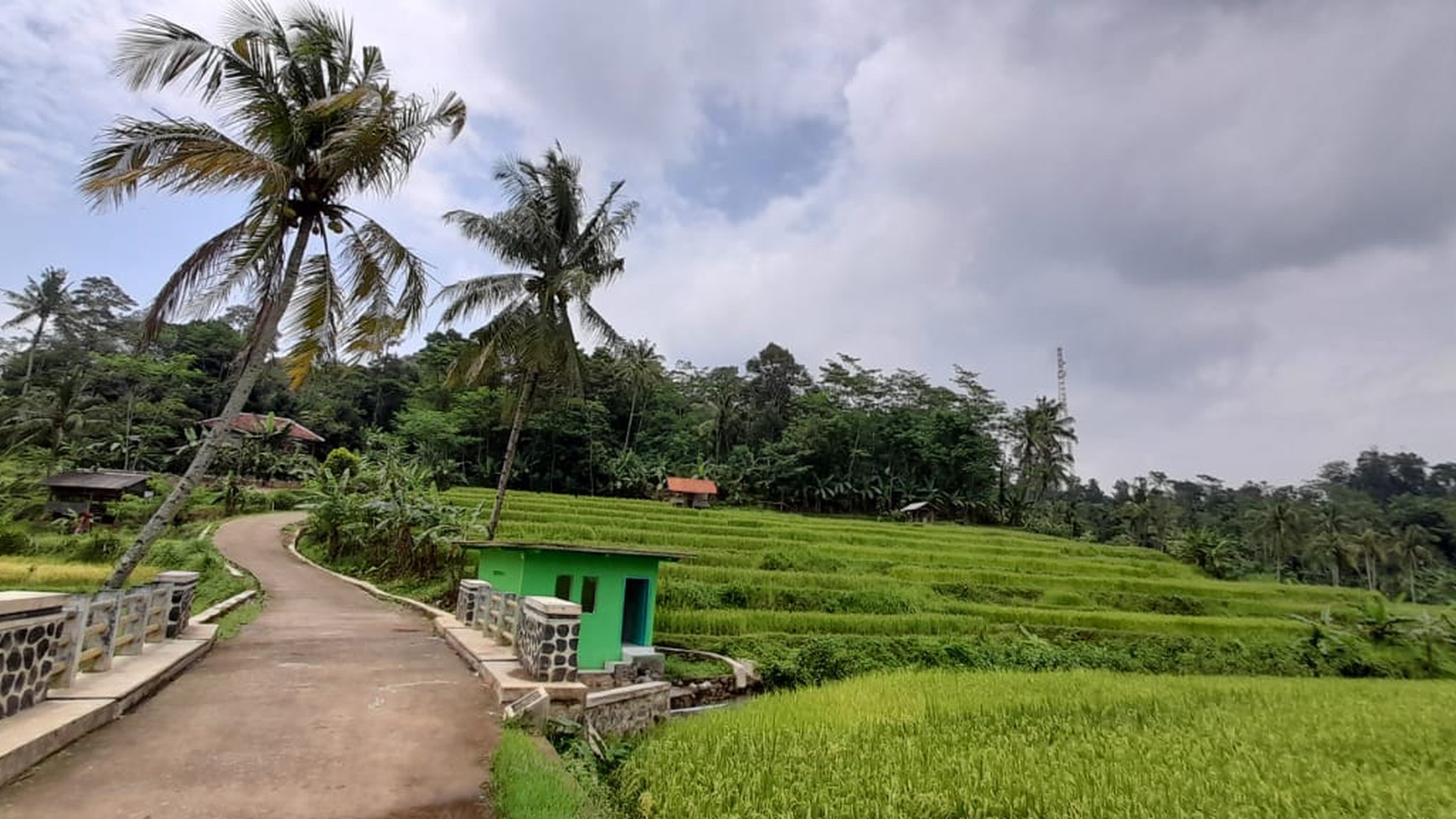 Dijual Kavling Di Pinggir Jl Kampung Babakan Kidra, Purwakarta, Jawa Barat