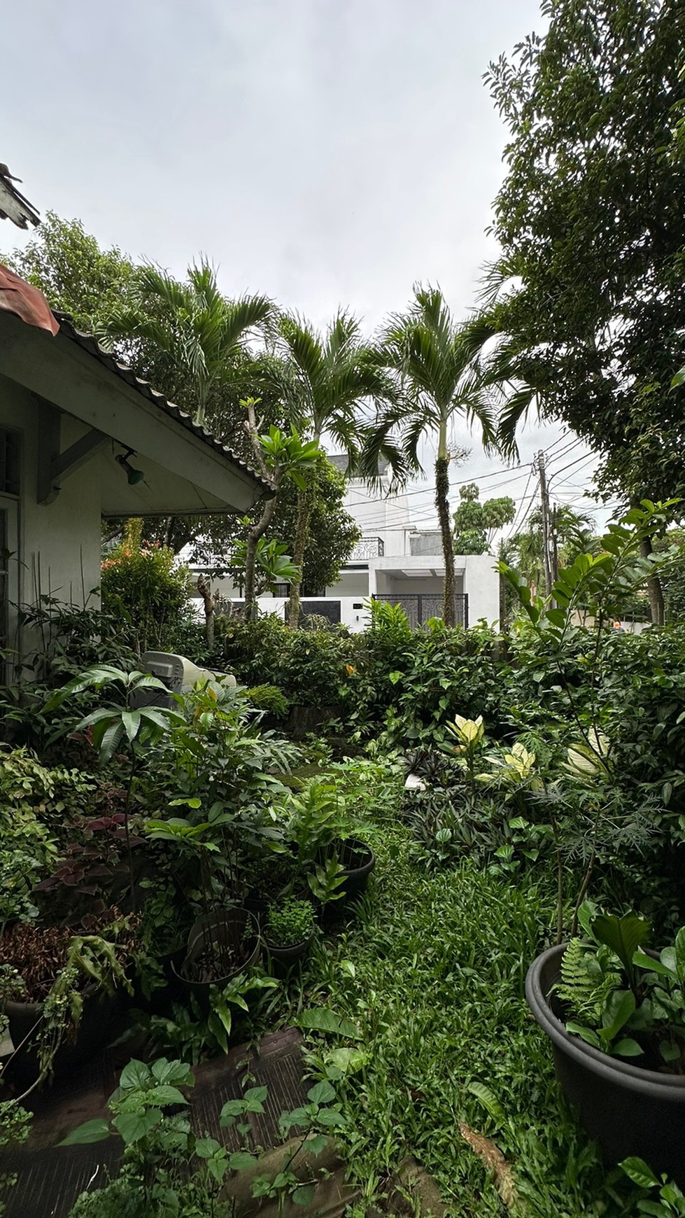 Rumah Bintaro Jaya dengan Bangunan Kokoh @Kucica