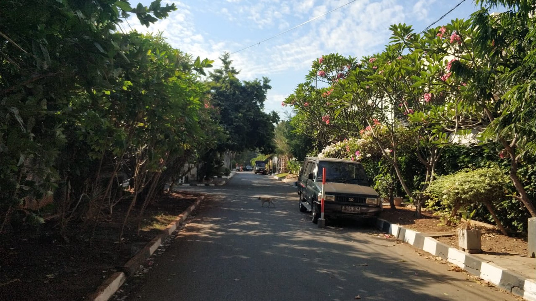 Rumah Bagus nan Asri dengan lingkungan yang teduh Siap Huni.