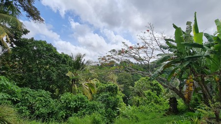 1,293sq m of Freehold Land with Stunning River and Valley Views Located 5 Minutes from Ubud Palace
