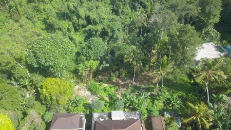 3,260 sq m of Freehold Land with Stunning River and Valley Views Located 6 Minutes from Ubud Palace