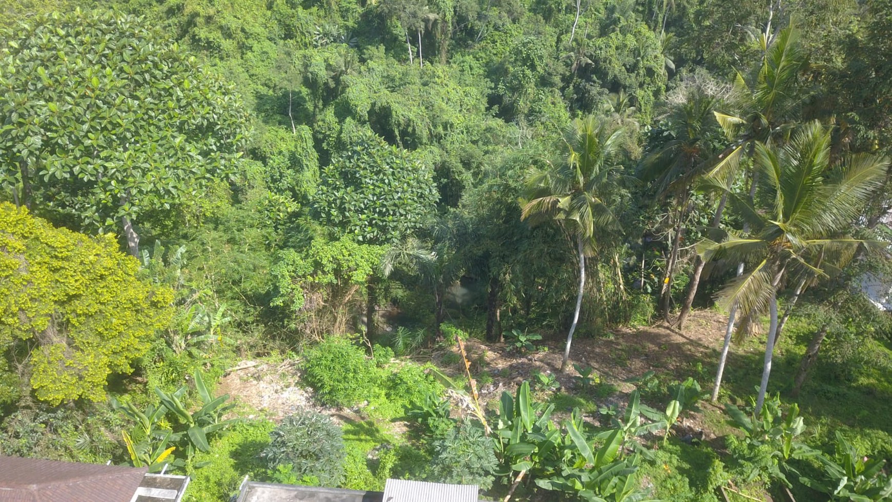 3,260 sq m of Freehold Land with Stunning River and Valley Views Located 6 Minutes from Ubud Palace