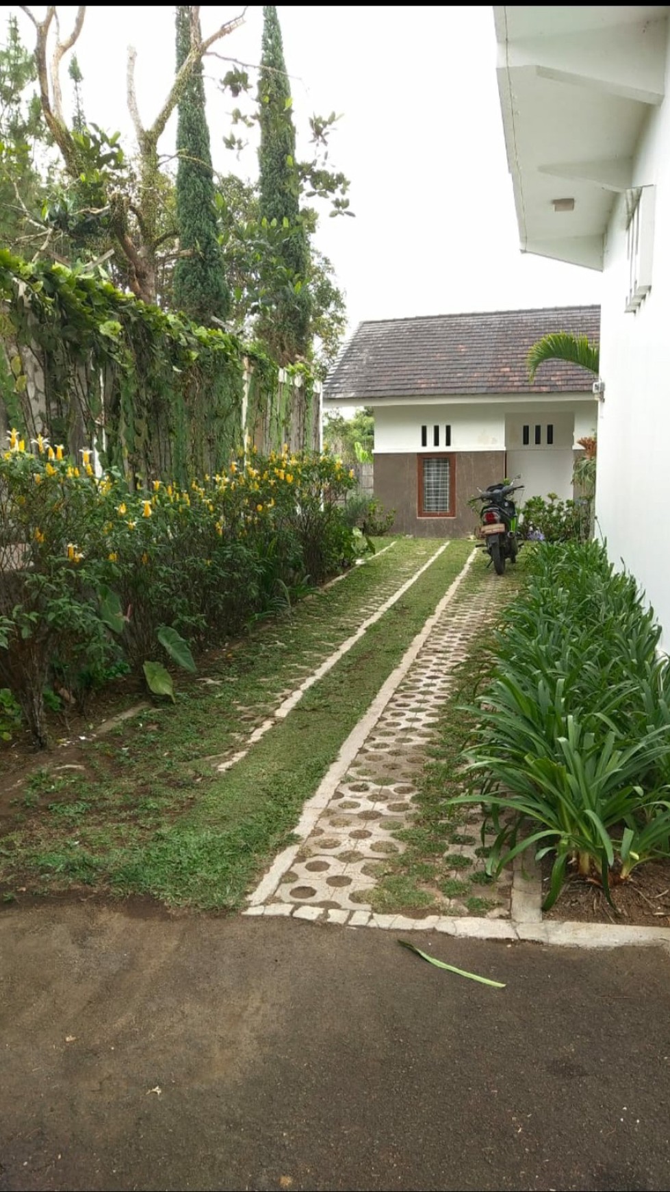 Dijual: Rumah Cluster Villa Pinnus, Legok Baru Sireum, Cisarua Bogor Luas 3000m&#xb2;