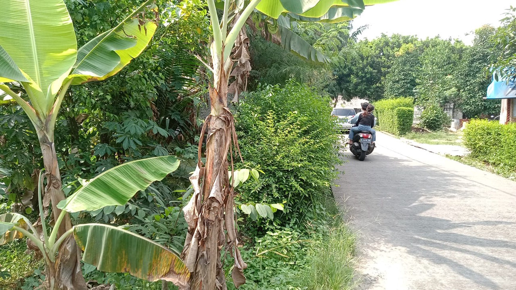 Kavling di Serang raya balaraja