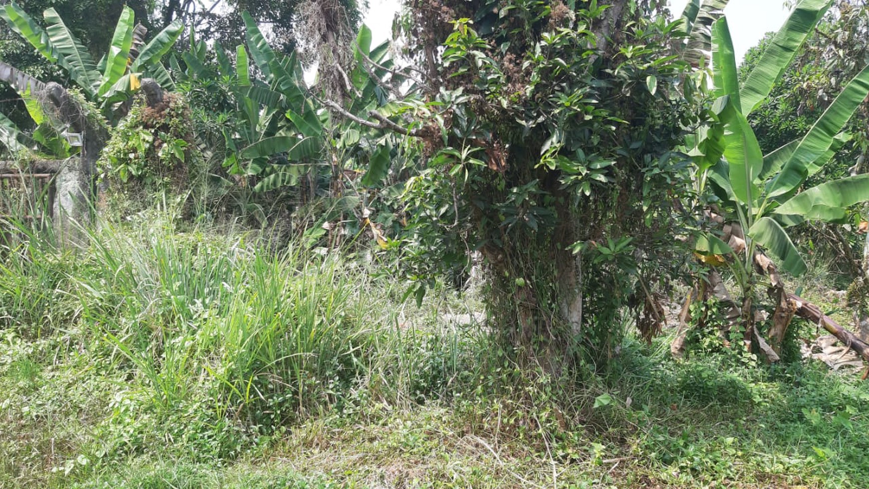 Kavling Siap Usaha Di Parung Bogor Jawa Barat