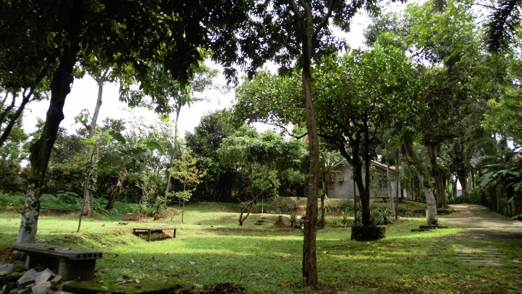 Tanah Kebun ada pohon buah, Harga Nego di Tajur Halang Bogor