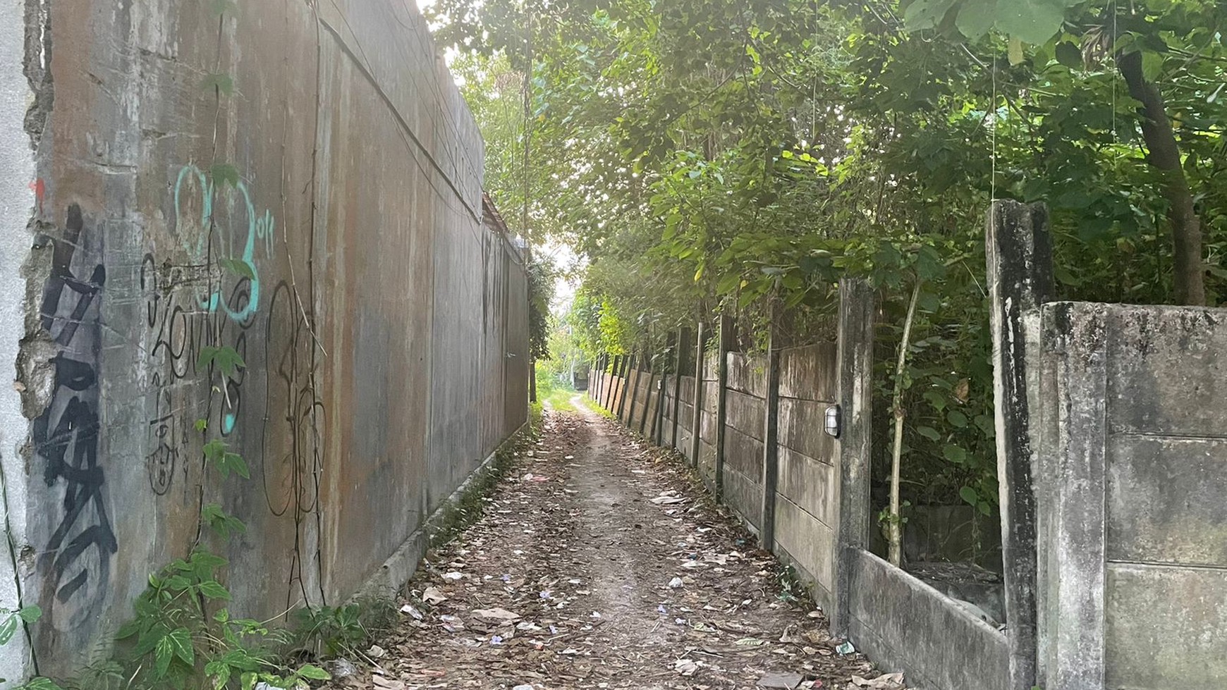 Freehold-Rare Strategic Freehold Land in heart of Canggu, Berawa