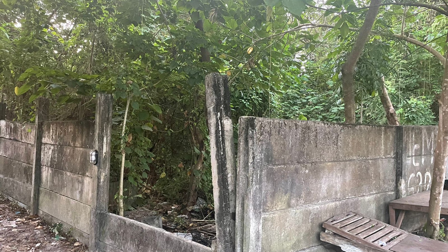 Freehold-Rare Strategic Freehold Land in heart of Canggu, Berawa