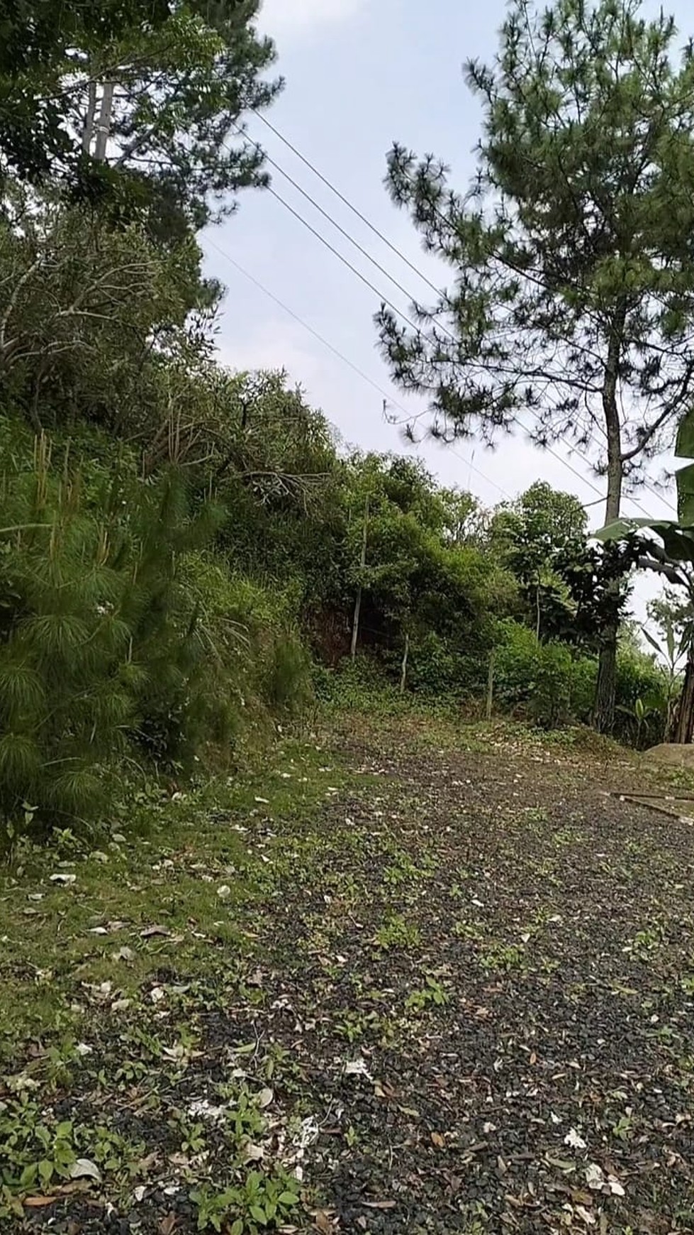 Kavling  Siap Bangun View Bandung di Pasirpogor Sebelah Dago Pakar Resort