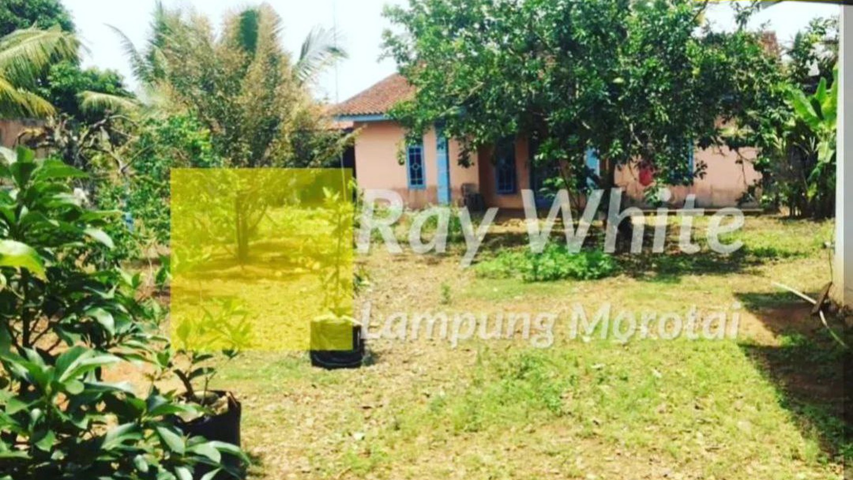 Dijual Rumah di Kotabumi