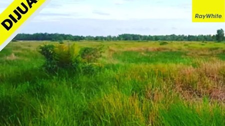 Dijual Tanah di Gunung Pelindung, Lampung Timur