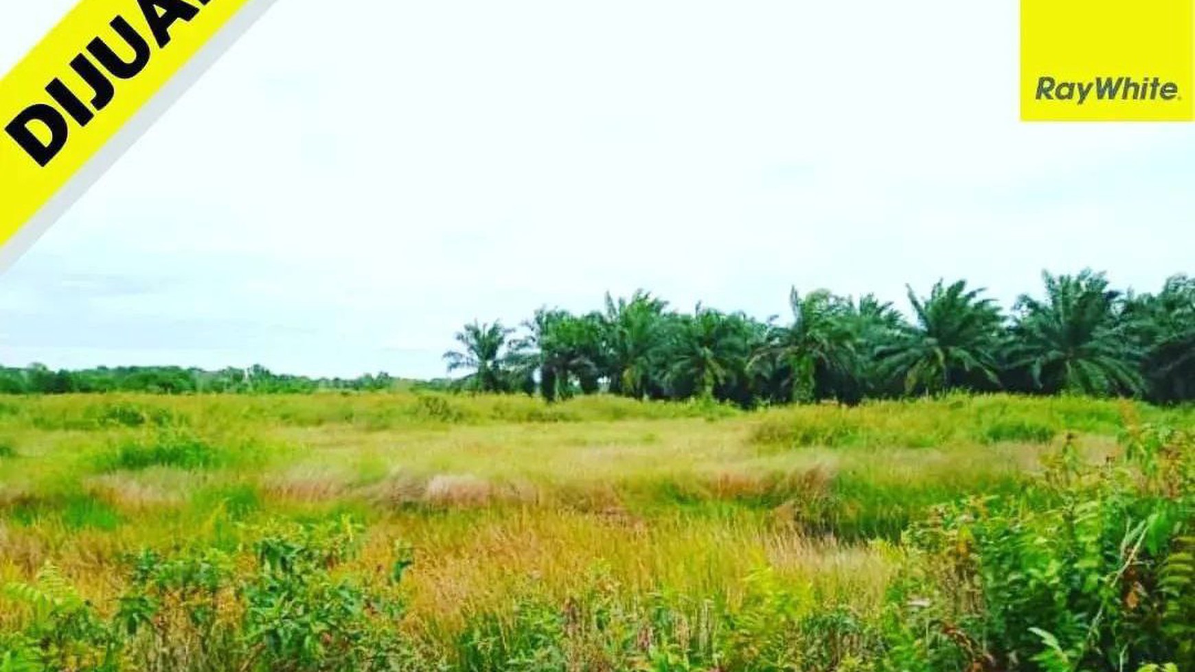 Dijual Tanah di Gunung Pelindung, Lampung Timur