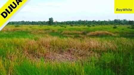 Dijual Tanah di Gunung Pelindung