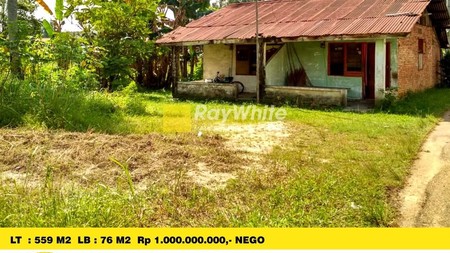 DI JUAL TANAH DAN RUMAH 