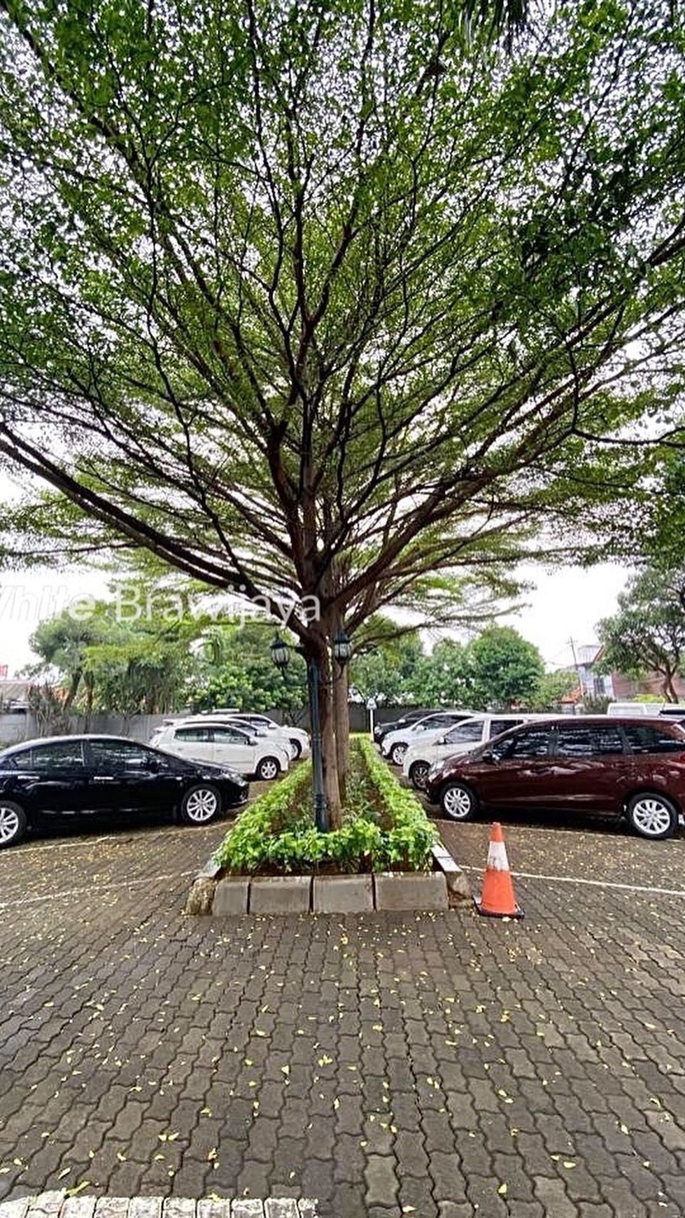 Buncit Raya Tanah Zona Komersial, Harga Mendekati NJOP