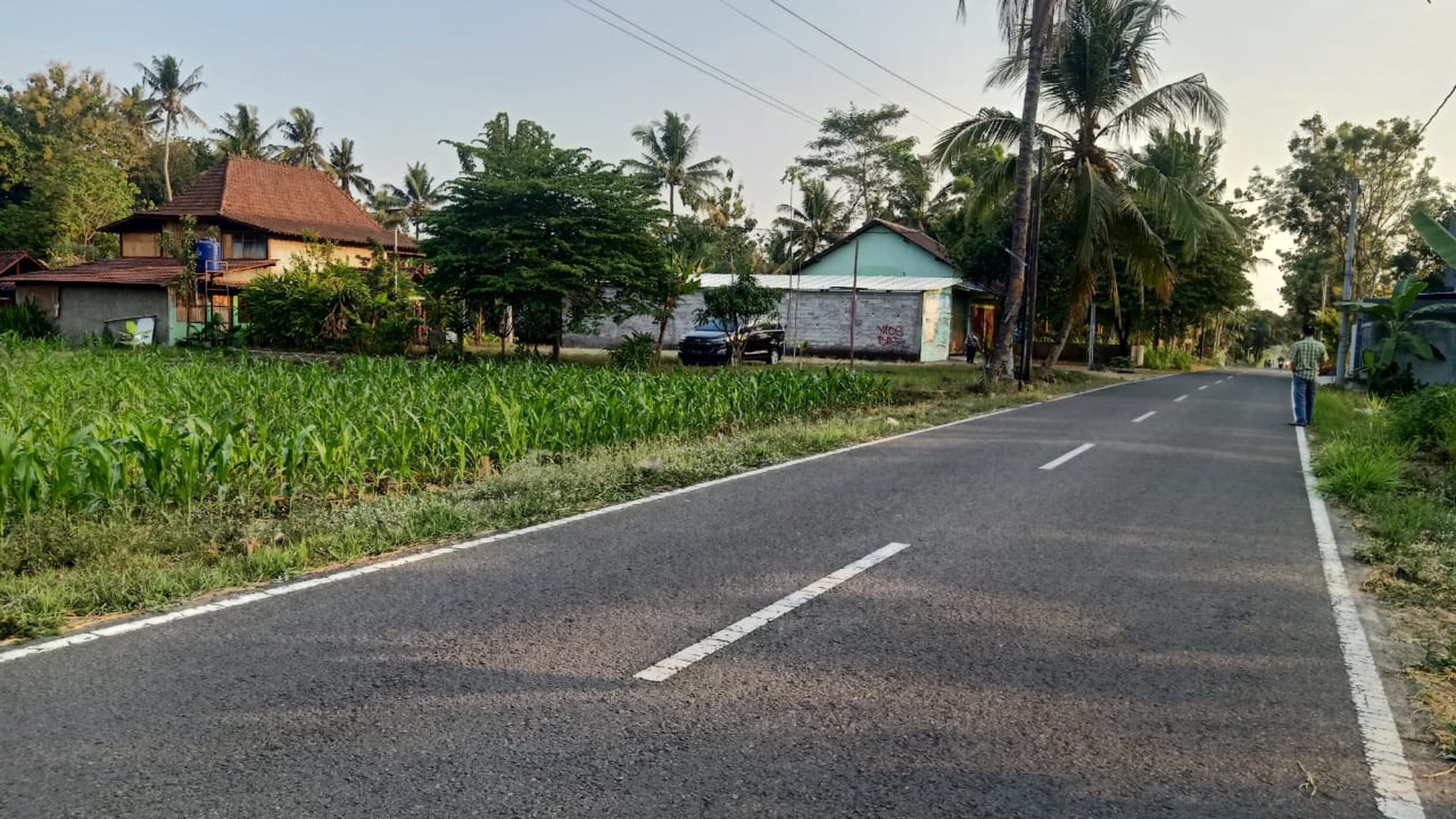 Disewakan Tanah Sawah Luas 1875 Meter Persegi di Seyegan Sleman 