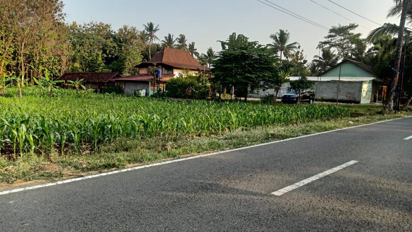 Disewakan Tanah Sawah Luas 1875 Meter Persegi di Seyegan Sleman 