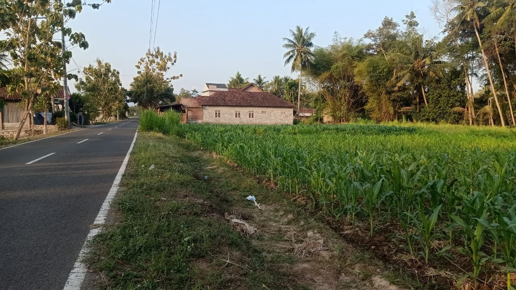 Disewakan Tanah Sawah Luas 1875 Meter Persegi di Seyegan Sleman 