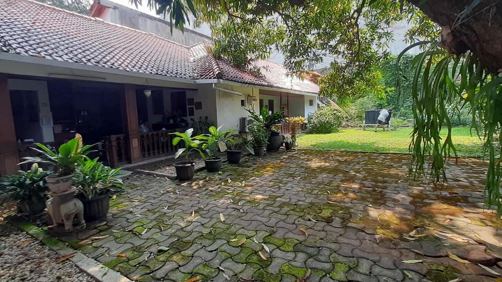 Rumah Klasik yang Nyaman Strategis  di Menteng Cocok Untuk Rumah Cafe Kantor Restoran #DD