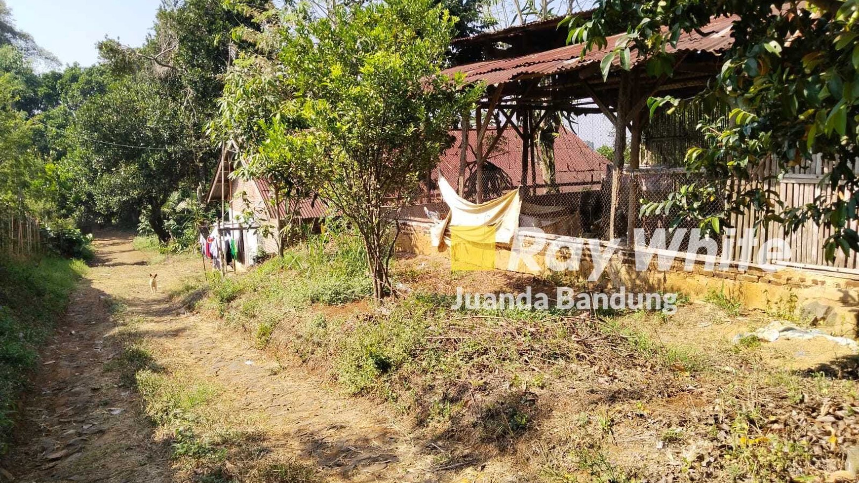 Tanah Luas di Cisurupan Cilengkrang Cibiru cocok buat perumahan perkebunan atau peternakan