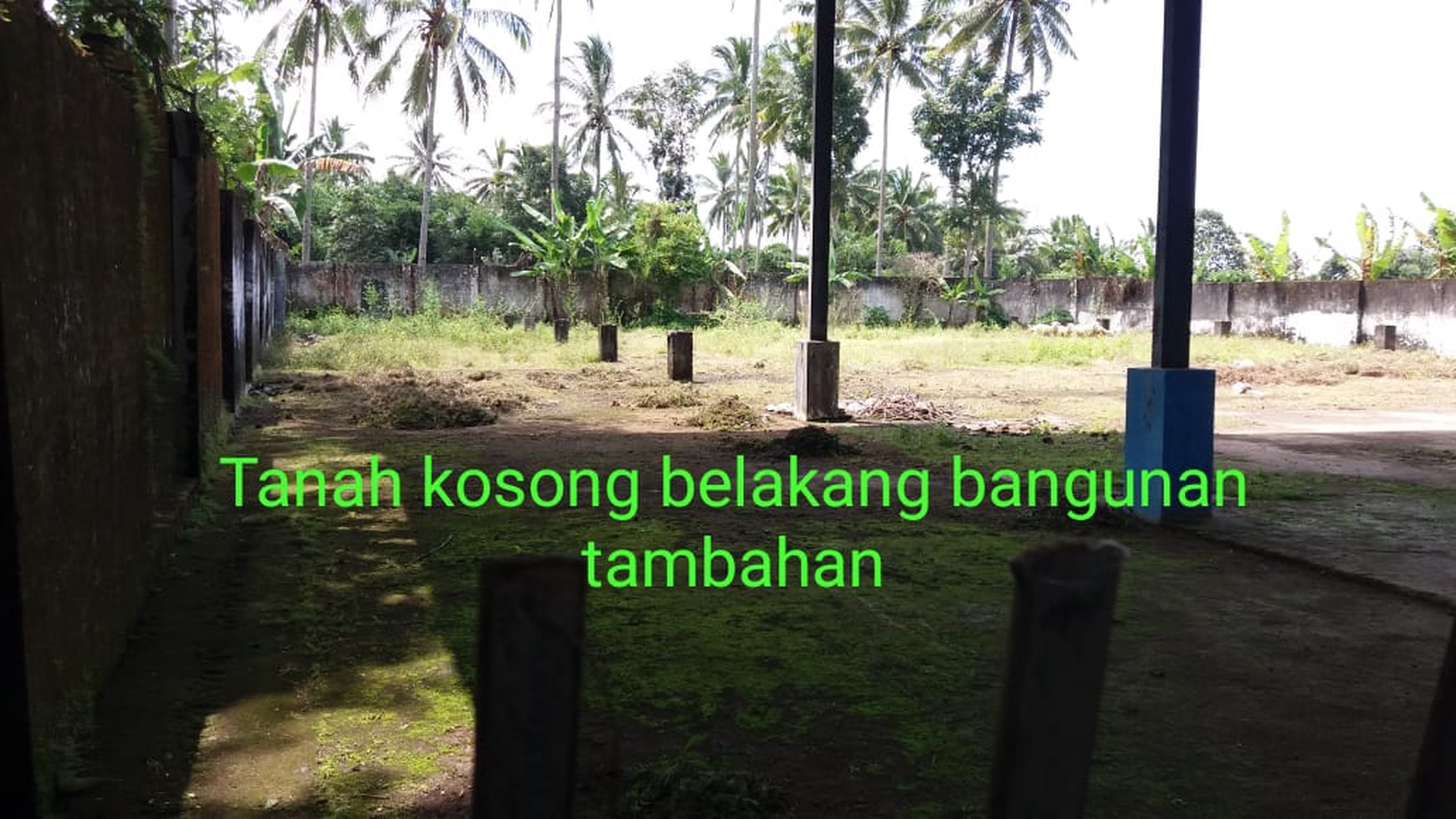 523. Dijual Villa dan tanah sawah Nol jalan Raya Tamansari-Licin, Desa Tamansari Kec Glagah Kab Banyuwangi 