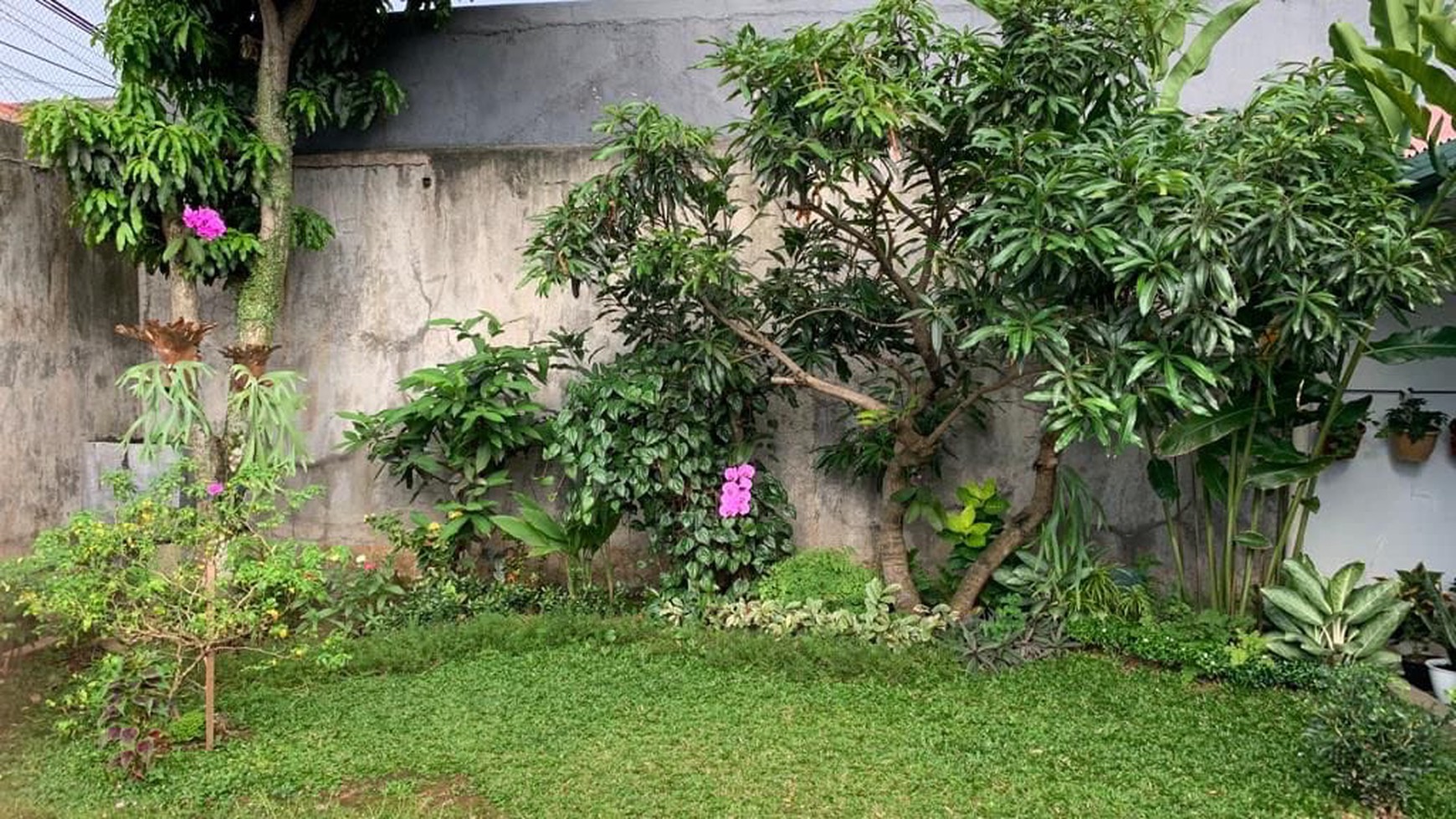 Rumah Bagus Di Jl Pahlawan Gg Masjid , Jerokuta Kidul Bogor