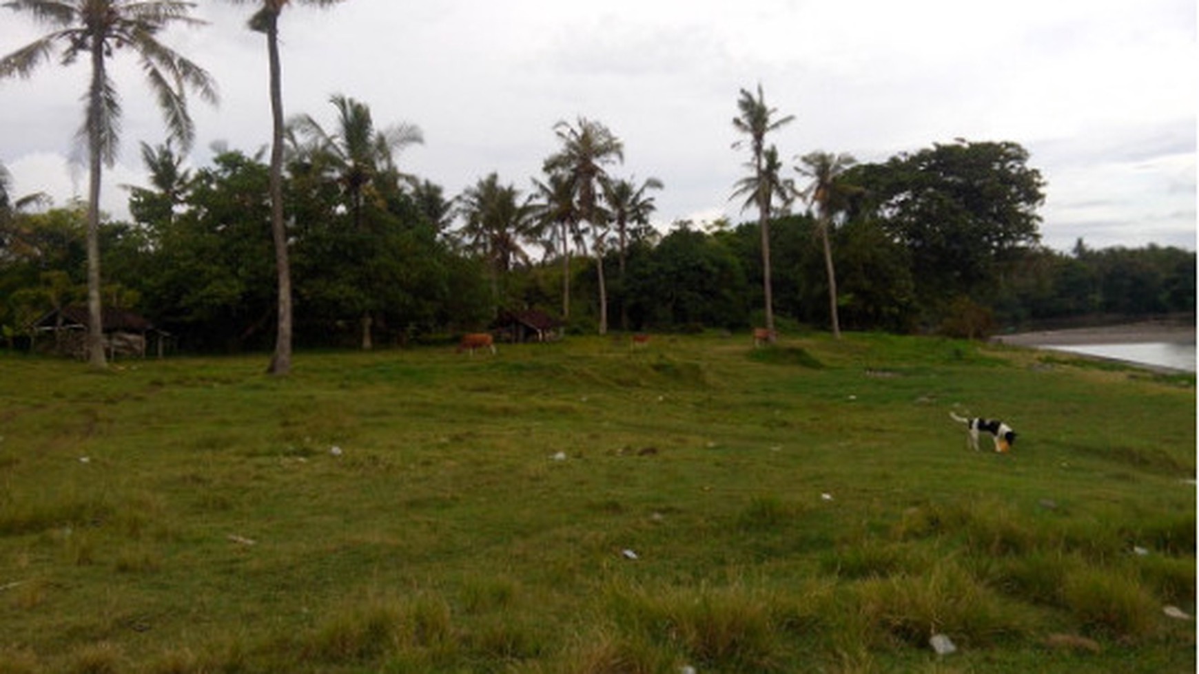 Tanah Pantai  Beraban Village,  Tabanan Regency, Bali.