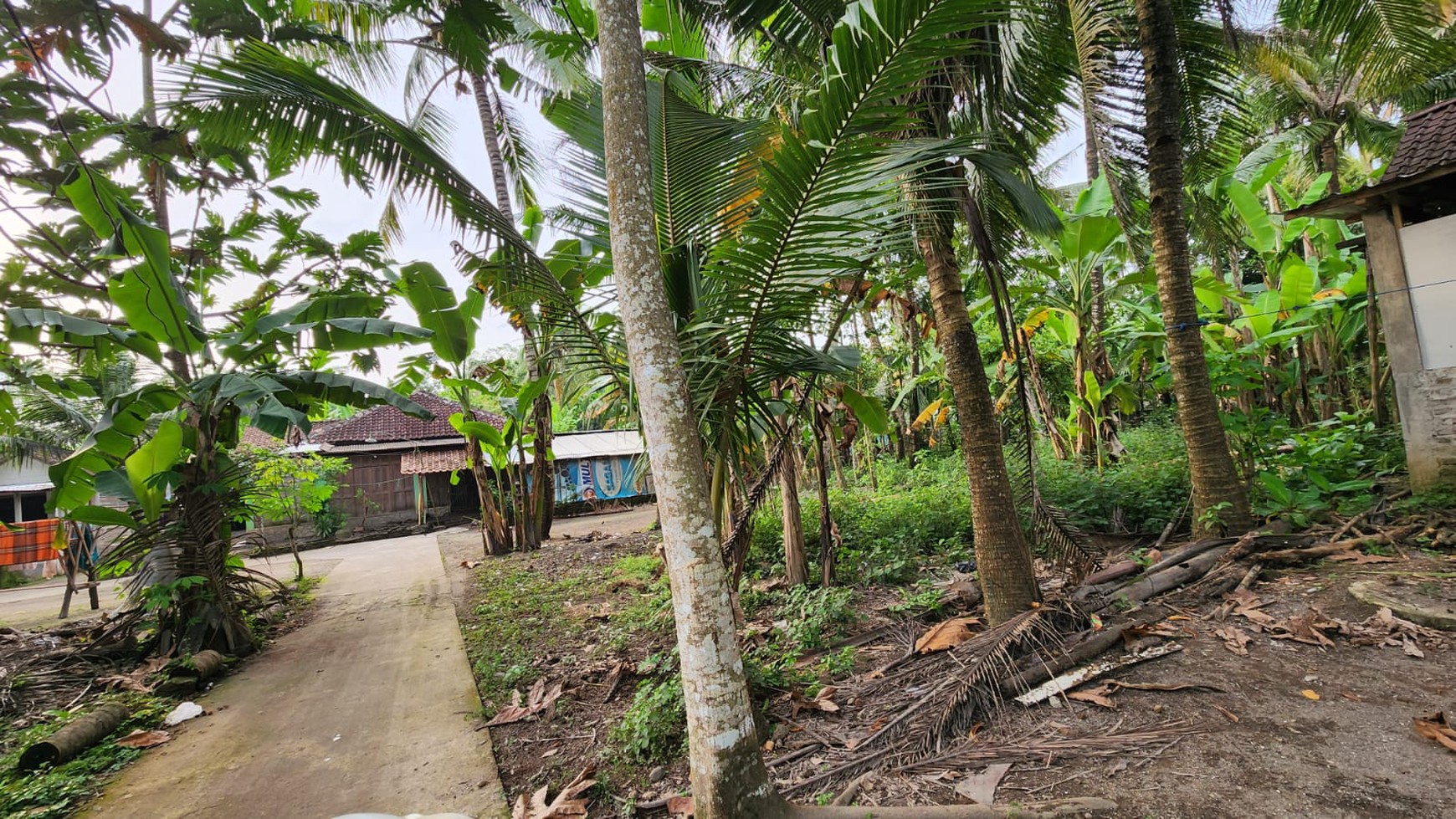 Tanah Pekarangan Luas 595 Meter Persegi di Jetis Bantul 