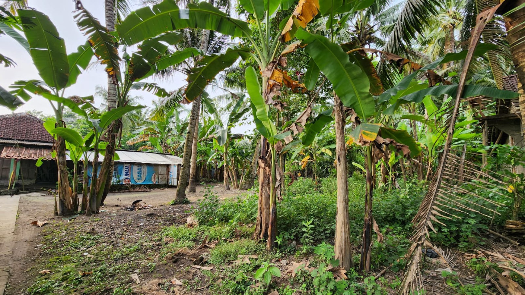 Tanah Pekarangan Luas 595 Meter Persegi di Jetis Bantul 