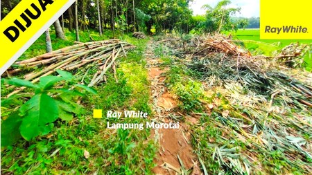 JUAL TANAH MURAH PRINGSEWU