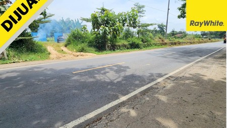 JUAL TANAH AREA METRO TEGINENENG