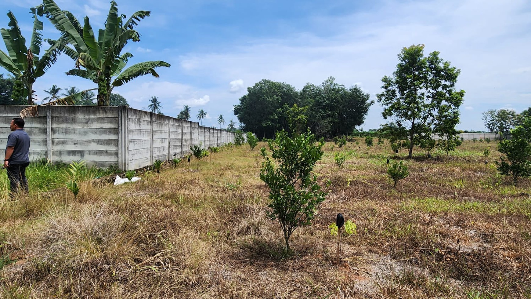 JUAL TANAH AREA METRO TEGINENENG