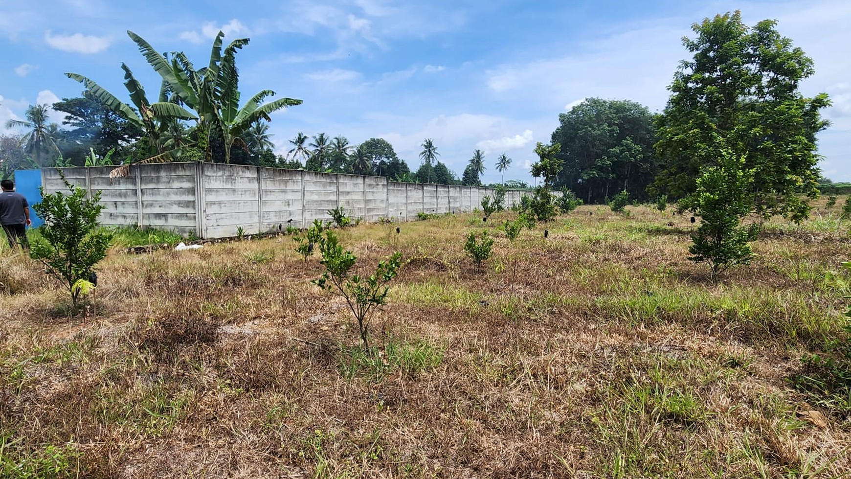 JUAL TANAH AREA METRO TEGINENENG
