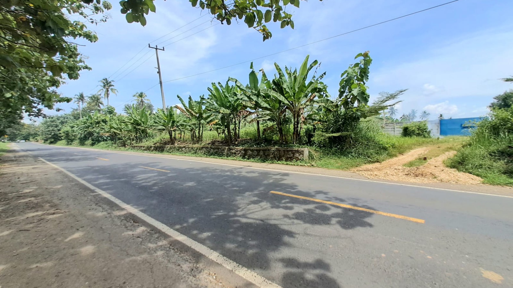 JUAL TANAH AREA METRO TEGINENENG
