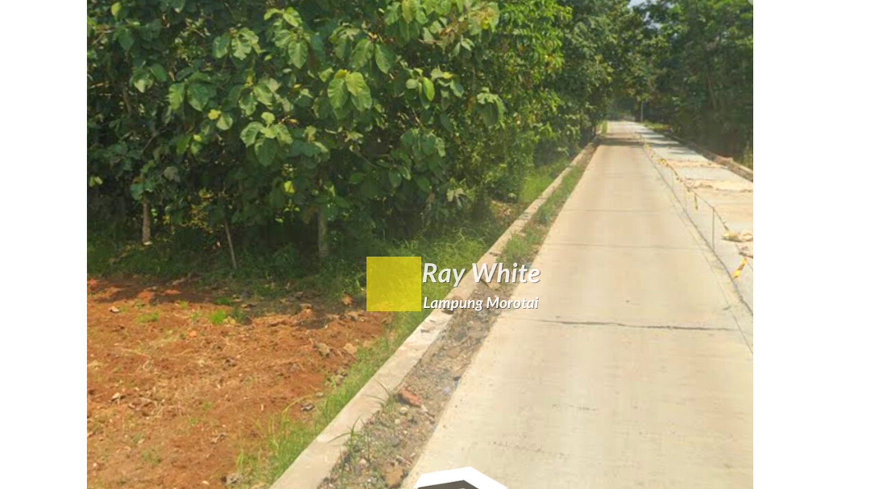 Dijual Tanah Murah di Negeri Katon Pesawaran