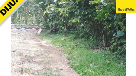 Dijual Tanah Murah di Negeri Katon Pesawaran